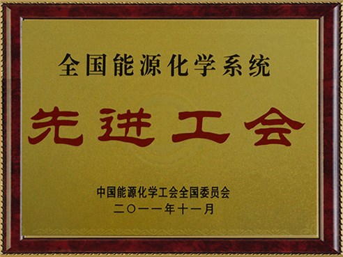 全國能源系統先進(jìn)工會(huì )